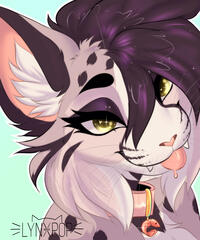Belongs to Tacatto